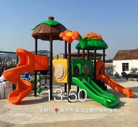 南京金鹏林果种植场游乐项目